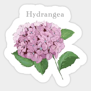 Hydrangea flower Sticker